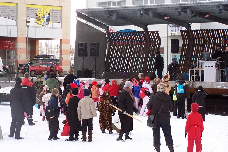 eitt og annað 2008 020