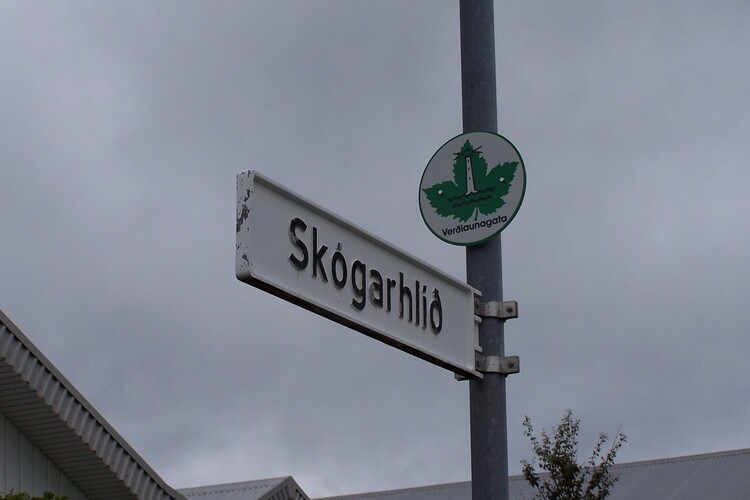 stjornugata2010 002