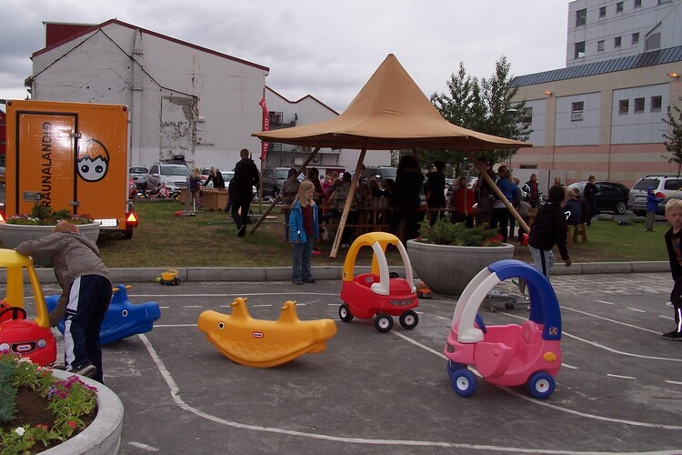 29.júní 2010 007