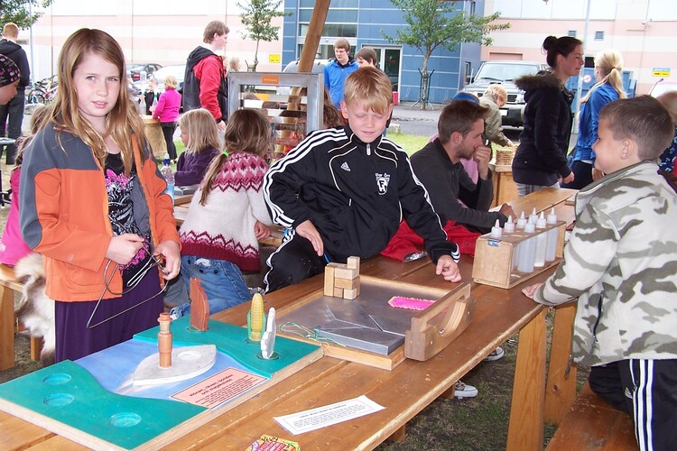 29.júní 2010 008