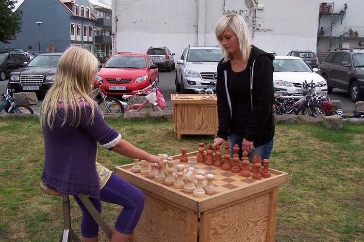 29.júní 2010 009