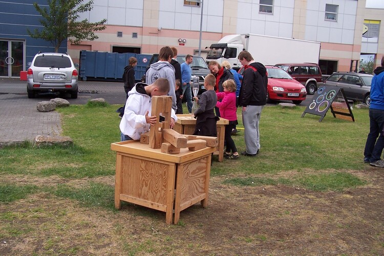 29.júní 2010 010