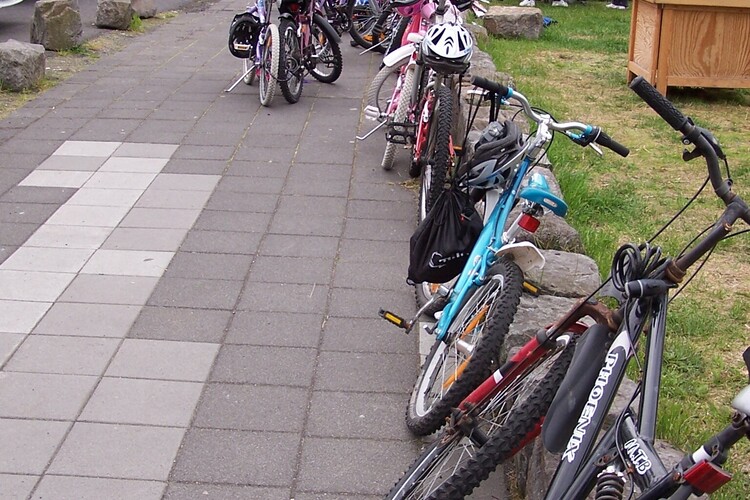 29.júní 2010 012