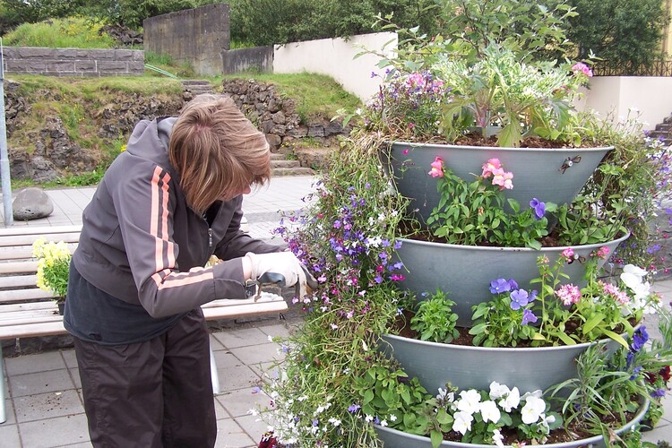 29.júní 2010 004