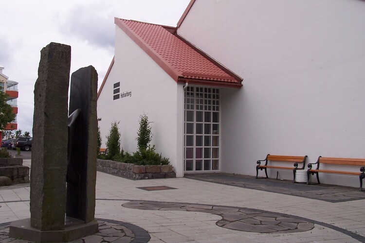 29.júní 2010 013