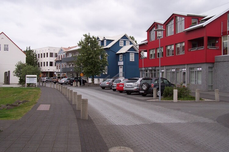 29.júní 2010 014