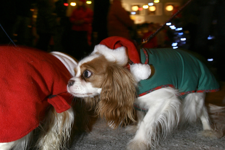 Jólaþorpið 2007 myndir 080