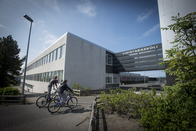 Víðistaðaskóli