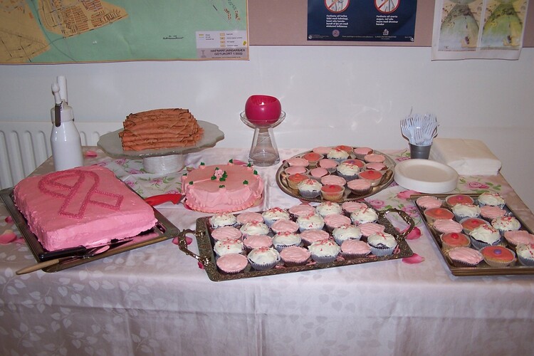 bleikurdagur2009 005