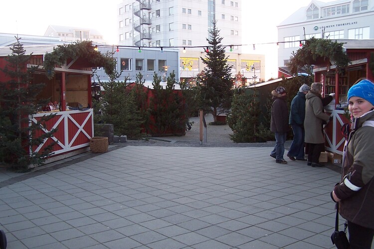 jólaþorpið 2008 002