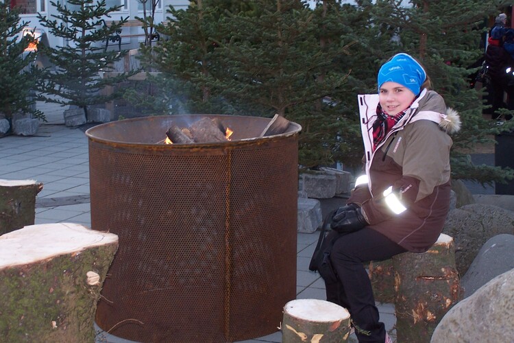 jólaþorpið 2008 023