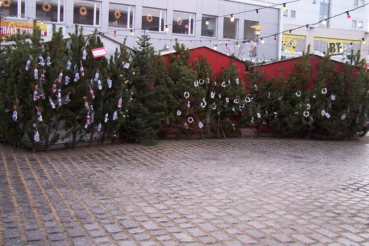 jólaþorpið 2008 060