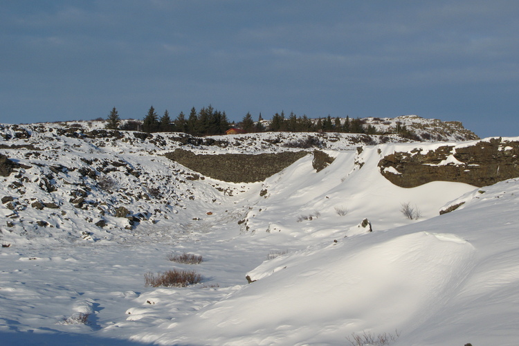 2009-02-09 09-34-03 (2)