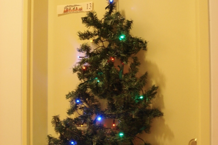 jólahurðin 2008 005