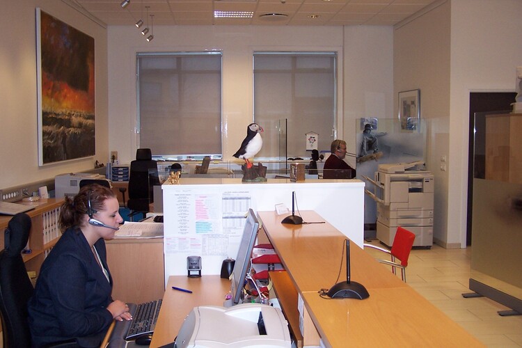 ljósmyndir - mars 037