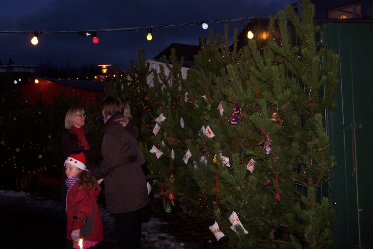 jólaþorp2009 011
