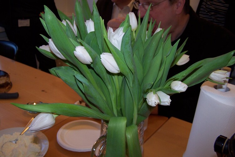 Copy of konudagurinn 004