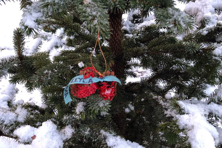 48380231_269523537071012_6292846740475215872_n