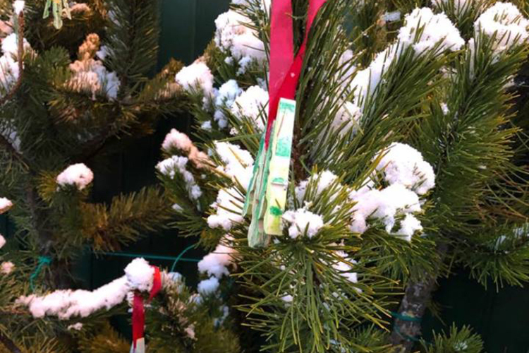 48396261_1942130955840690_9180983415472652288_n