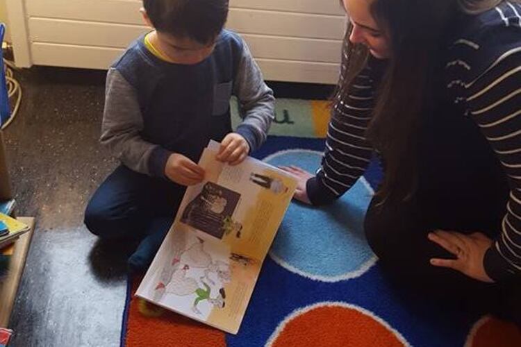 16508169_209051999563734_6670523632751865911_n