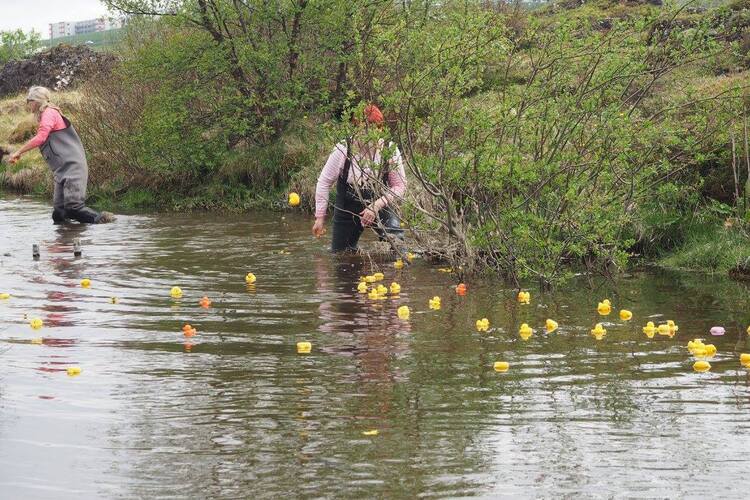 13308457_10208575226165579_5912761152857558532_o