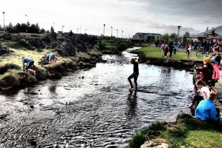 13317056_10208575234845796_6158490749257191081_o