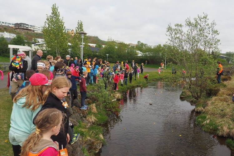 13320459_10208575226085577_4157273279911904508_o