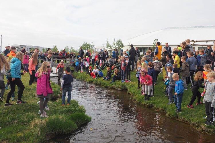 13320643_10208575227525613_3497984909166501881_o