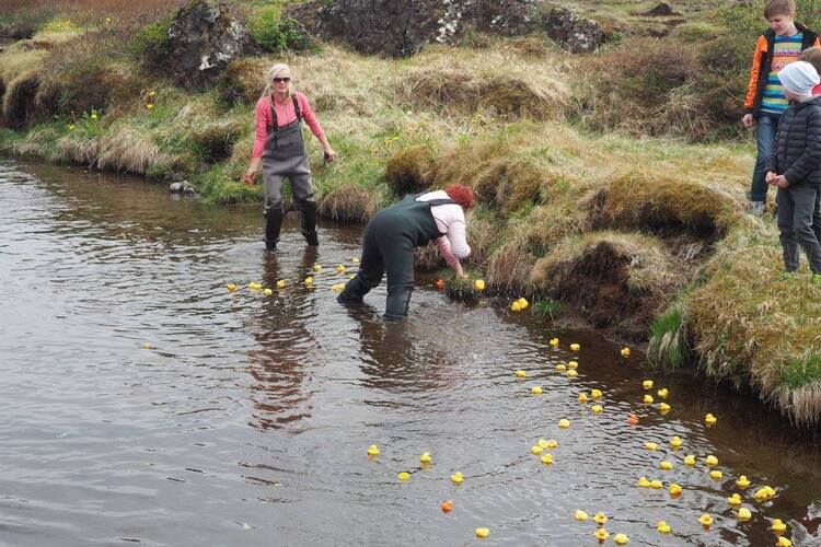 13320746_10208575226125578_5345744698875760825_o