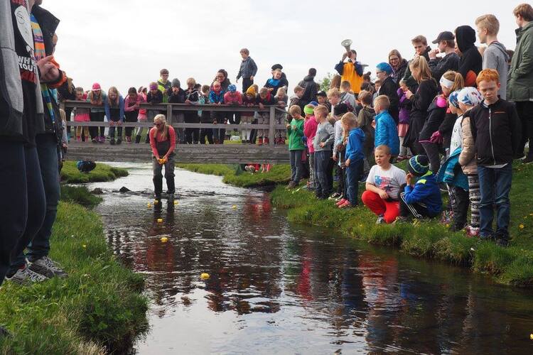 13323821_10208575227565614_246161900443571944_o