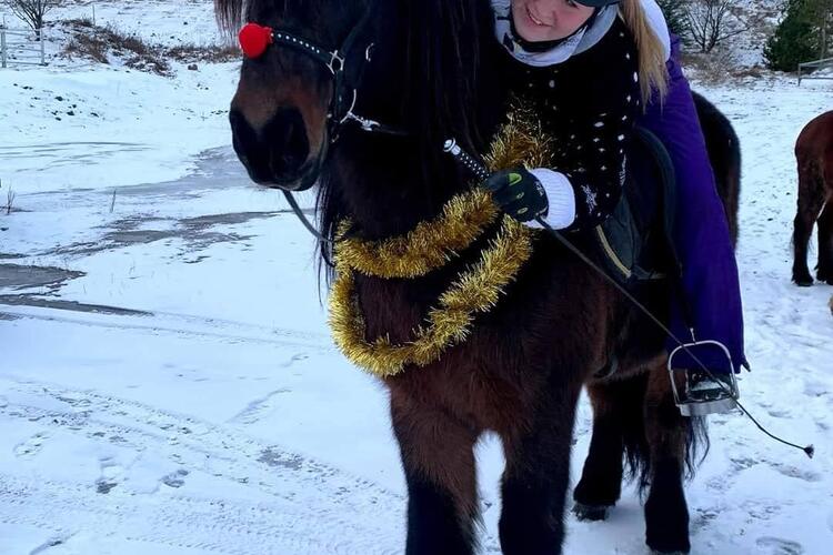 FB_IMG_1607456055103