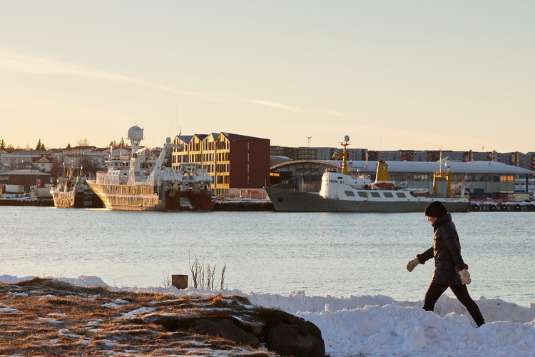 Jolabaerinn_Final_0048