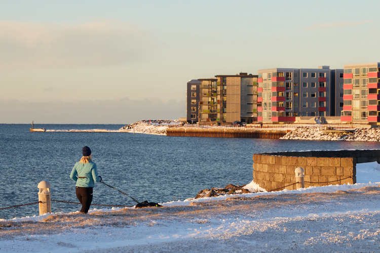 Jolabaerinn_Final_0043