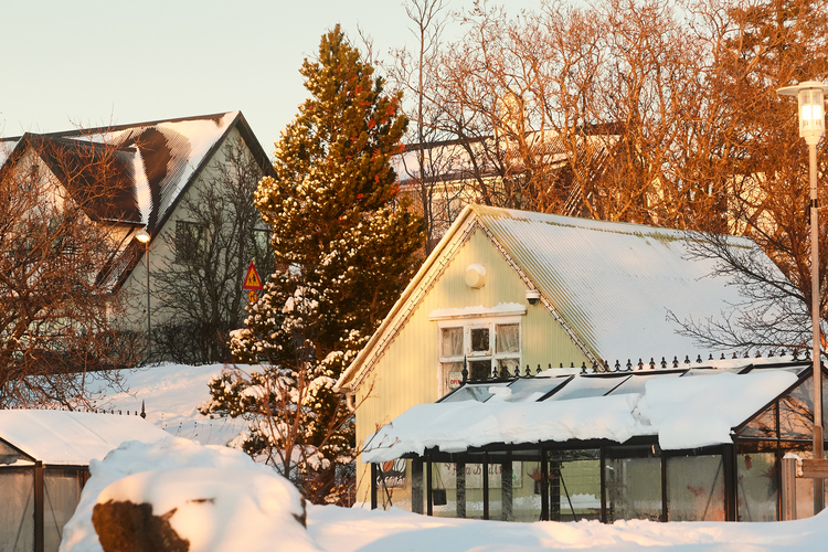 Jolabaerinn_Final_0071