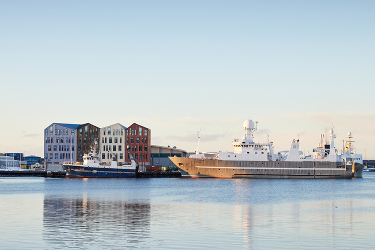 Jolabaerinn_Final_0039