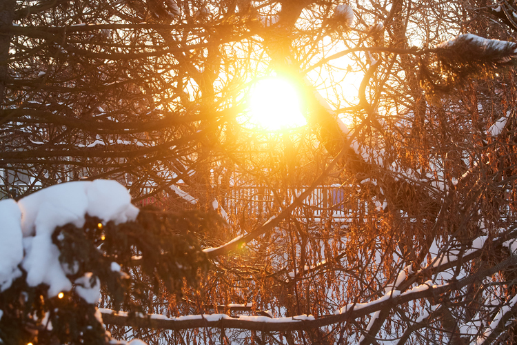 Jolabaerinn_Final_0065