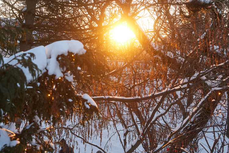 Jolabaerinn_Final_0064