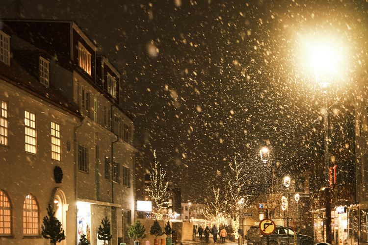 Jolabaerinn_Final_0029