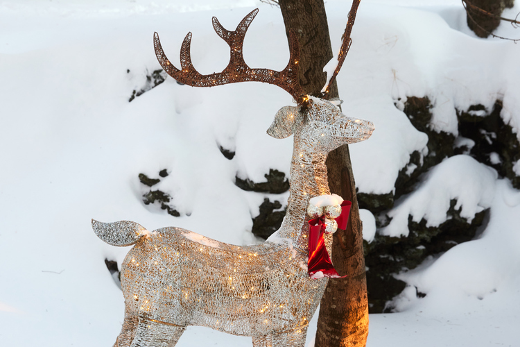 Jolabaerinn_Final_0066