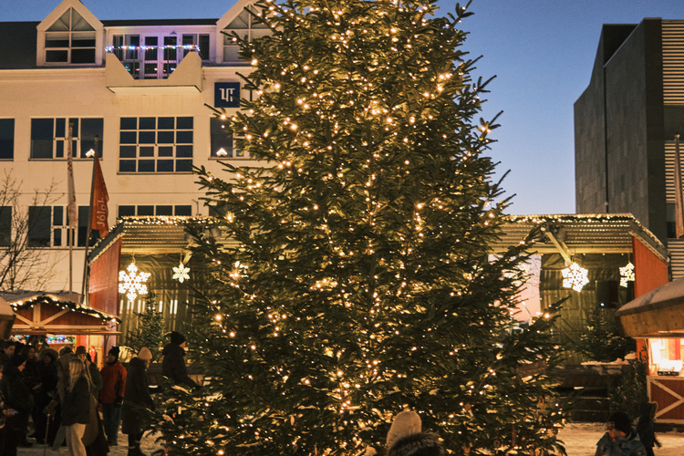 Jolabaerinn_Final_0124