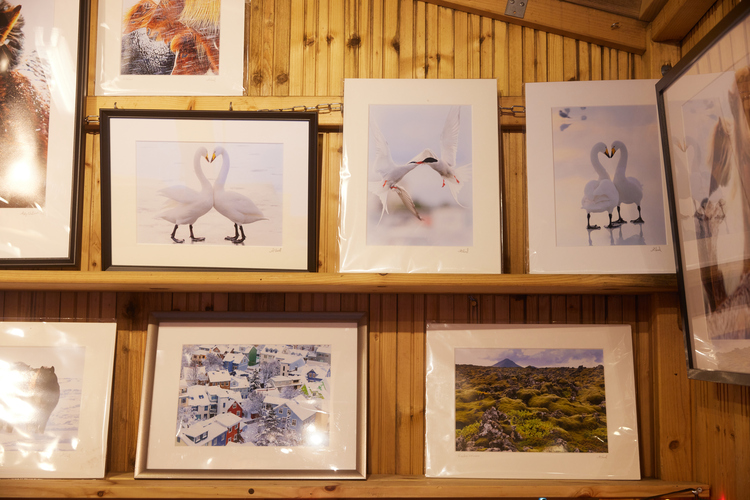 Jolabaerinn_Final_0101