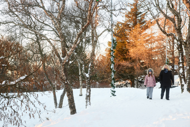 Jolabaerinn_Final_0067