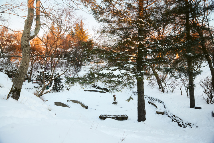 Jolabaerinn_Final_0068