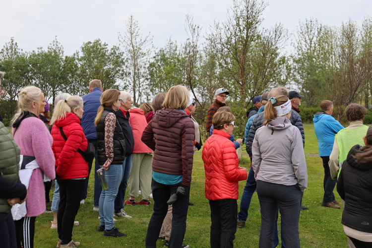 Ganga Víðistaðatún