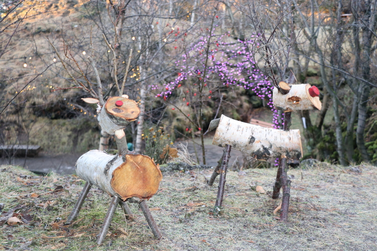 30HreindyrIHellisgerdi