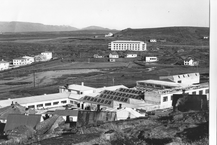 Sólvangur af Hamri 1953