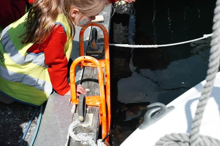 290620_Dorgveidikeppin_ANDRITHOR