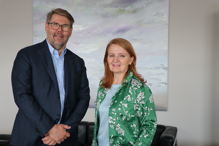 MyndHFJBrynjaUndirritun