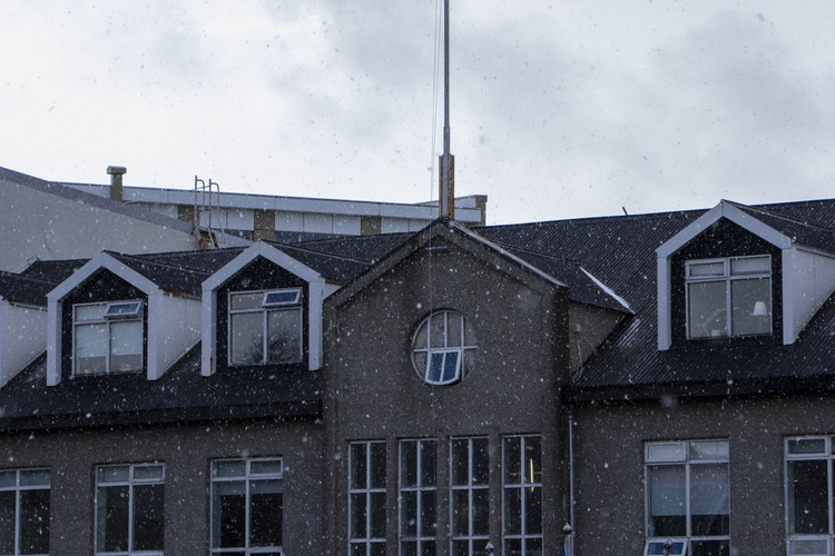 Dagur Norðurlanda 2021 - snjór