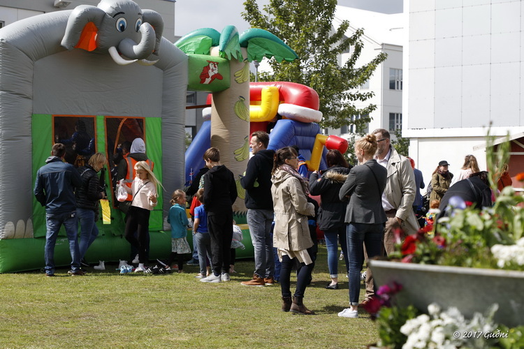 17 júní 2017-362